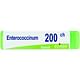 Enterococcinum 200ch globuli